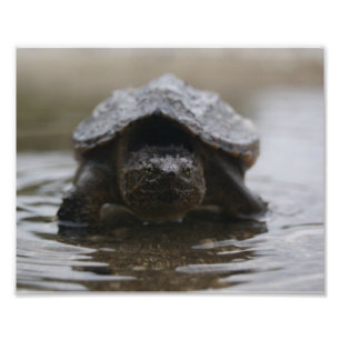 Impression de l'adaptateur d'alligator