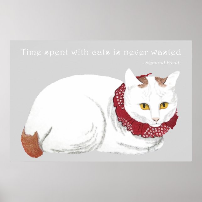 Impression de l'affiche de chat blanc (Devant)