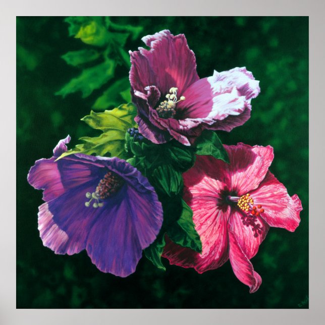 Impression de l'affiche de l'Hibiscus hawaïen (Devant)