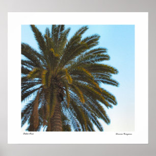 Impression de l'affiche Palm Tree