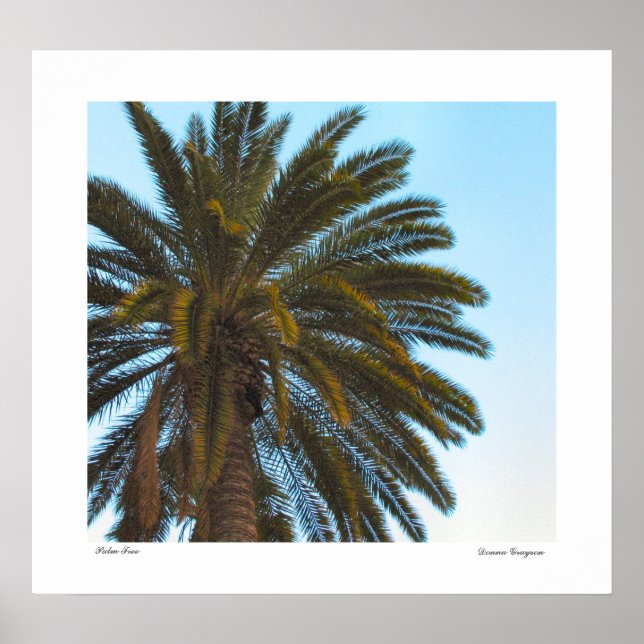 Impression de l'affiche Palm Tree (Devant)