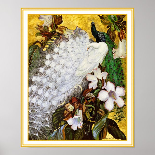 Impression de l'affiche : Peacock blanc et bleu (Devant)