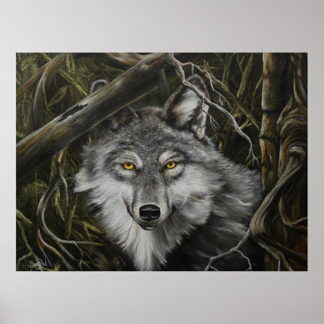 Impression de l'image du loup des yeux attentifs (Devant)