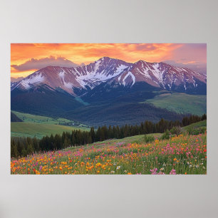 Impression de montagnes et de fleurs sauvages Colo