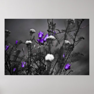 Impression de Musique Bells