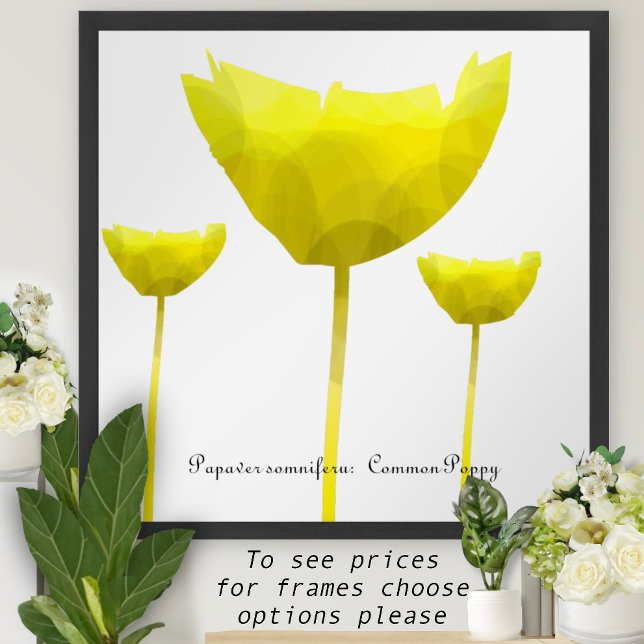 Impression de pavot (Créateur téléchargé)