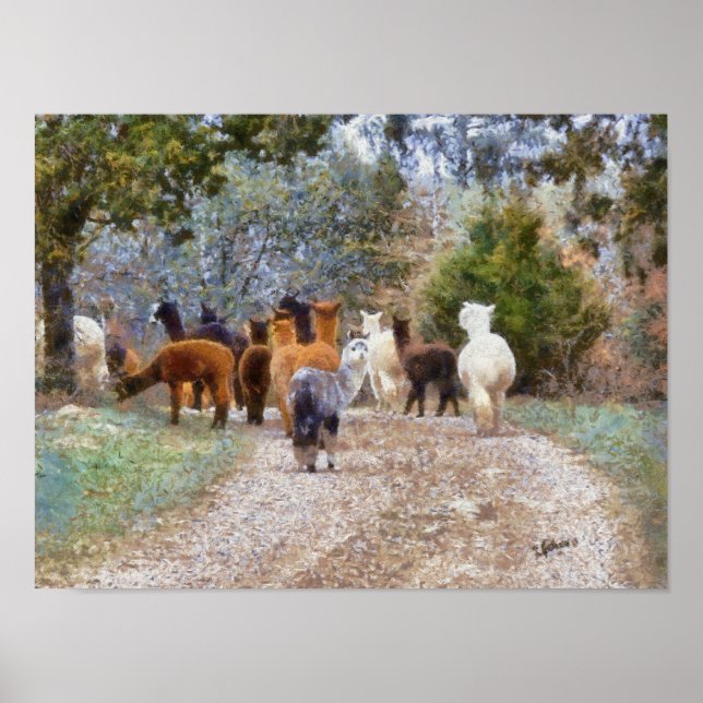 Impression de peinture numérique Alpacas (Devant)