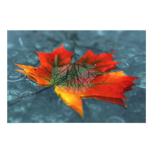 Impression de photo de rétroreflection