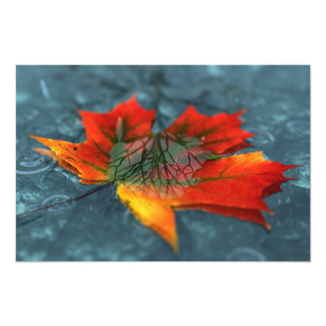 Impression de photo de rétroreflection (Devant)