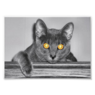 Impression de photo Dusky Gold