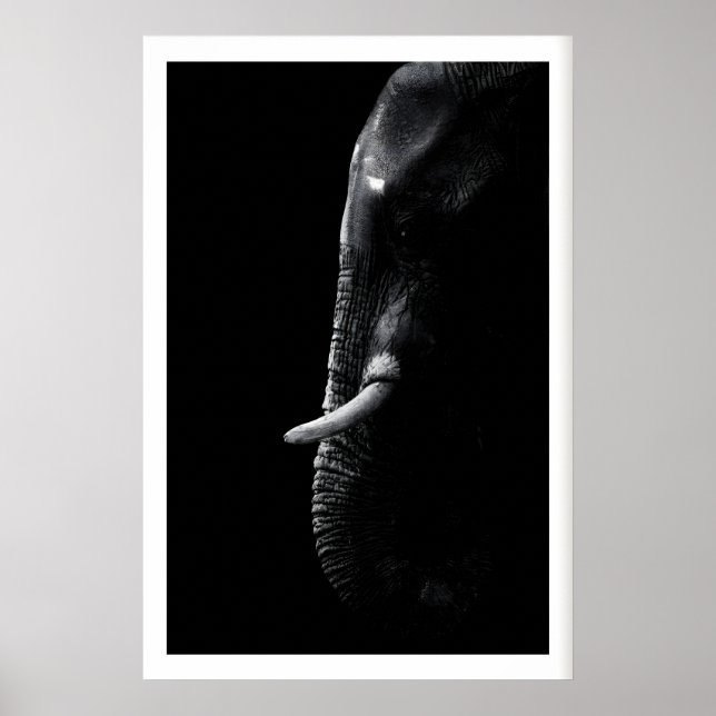 Impression de photographie d'éléphant Art de safar (Devant)