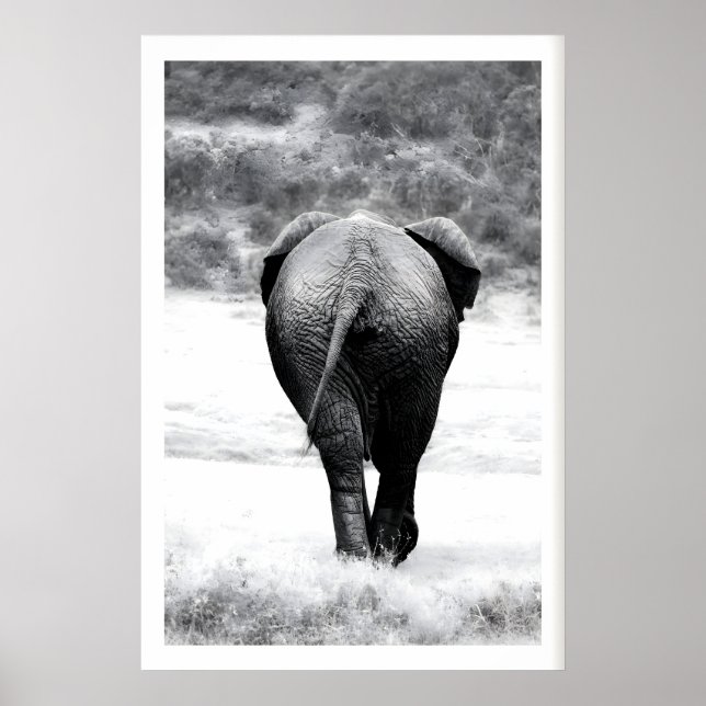 Impression de photographie d'éléphant Art monochro (Devant)
