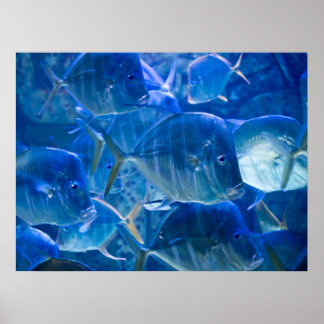 Impression de poisson tropicale argentée