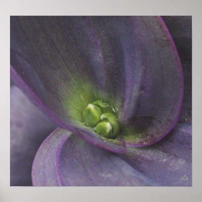 impression de sérénité (Devant)