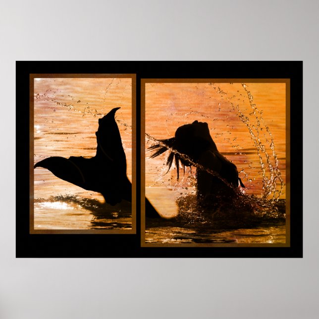 Impression de sirène (Devant)