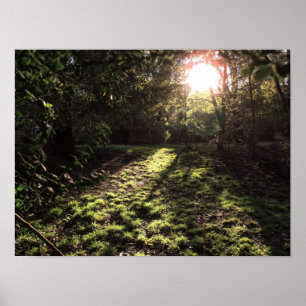 Impression de soleil de jardin