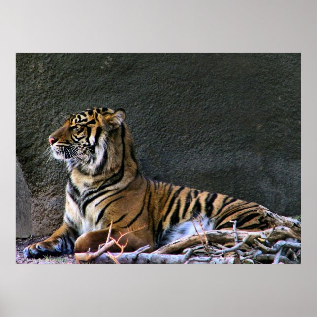 Impression de tiroir (Devant)