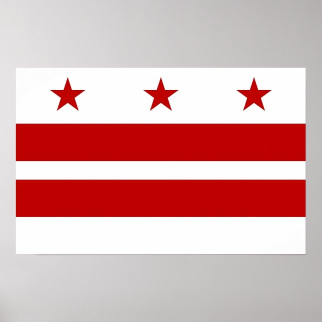 Impression de toile avec drapeau de Washington DC, (Devant)