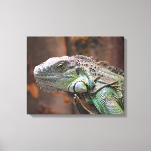 Impression de toile avec lézard Iguana coloré