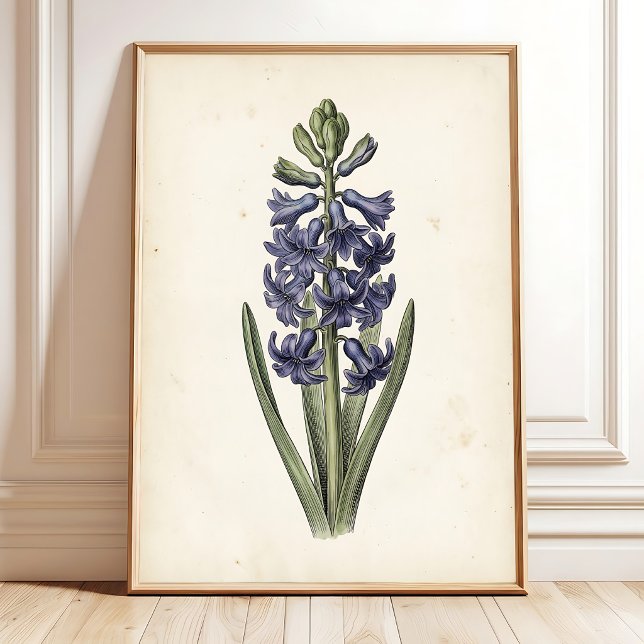 Impression de toile botanique d'hyacinthe vintage (Créateur téléchargé)