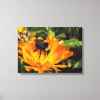 Impression de toile - Calendula et Bee
