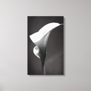 Impression de toile calla lily