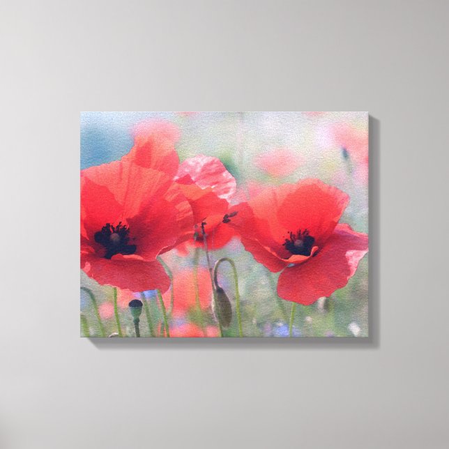 Impression de toile - Champ de pavots rouges (Recto)