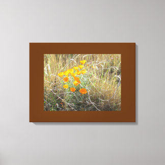 Impression de toile - Coquelicot de Californie