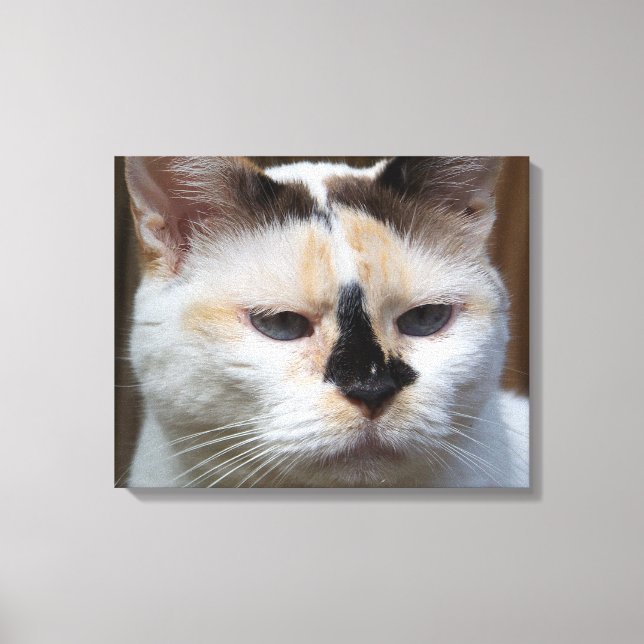 Impression de toile Cream Calico 20"x16" (Recto)