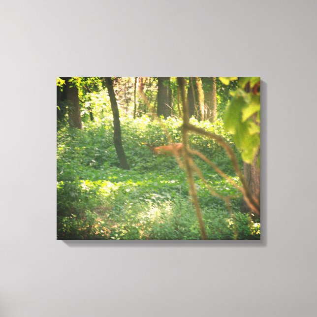 Impression de toile de cerf blanc (Recto)