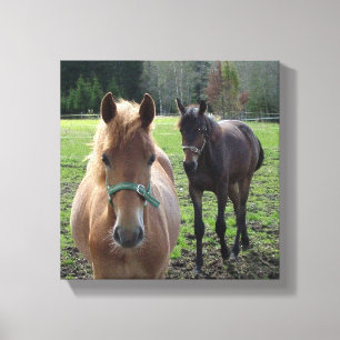 Impression de toile de cheval