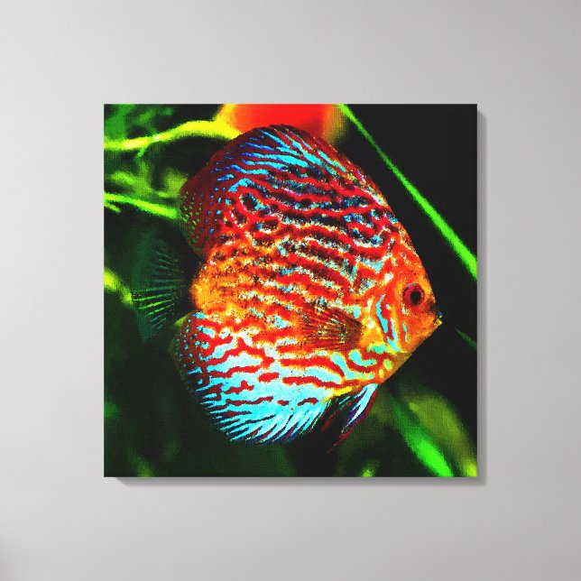 Impression de toile de poisson de l'aquarium Discu (Recto)