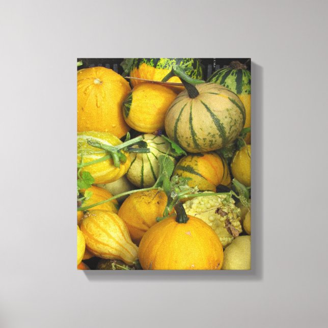 Impression de toile - Été squash 1 (Recto)