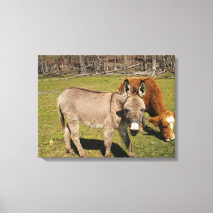Impression de toile étirée Donkey/Vache