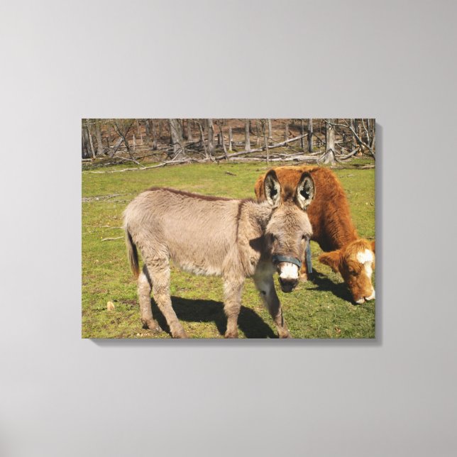 Impression de toile étirée Donkey/Vache (Recto)