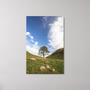 Impression de toile étirée Sycamore Gap