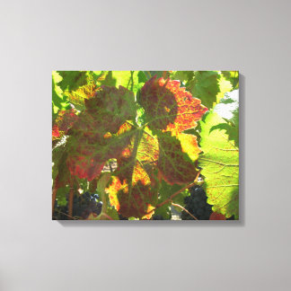Impression de toile - Feuille de raisin rouge sur