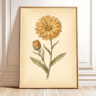 Impression de toile Fleur de Calendula