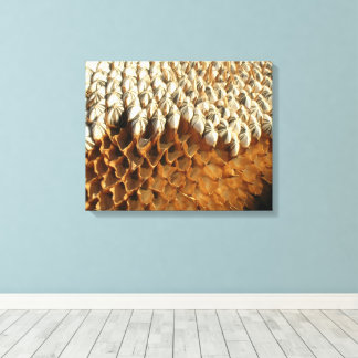 Impression de toile - Graines de tournesol