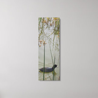Impression de toile - Hen boue dans les roseaux