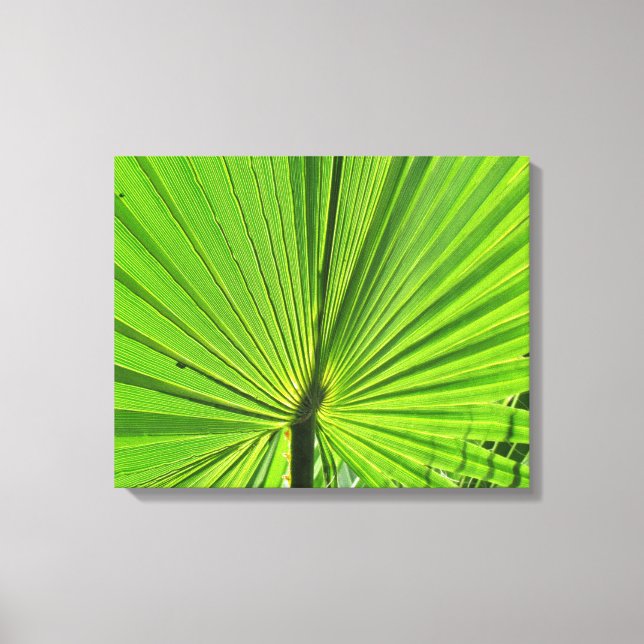 Impression de toile - Palm Frond (Recto)