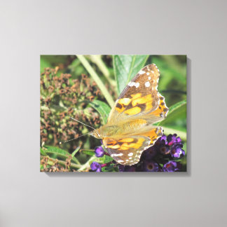 Impression de toile - Papillon orange