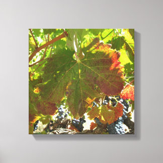 Impression de toile - Vignes