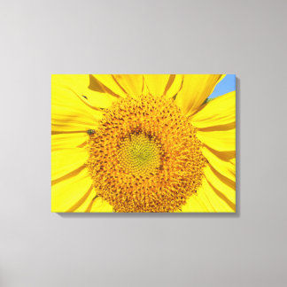 Impression de toile - Voler sur le tournesol