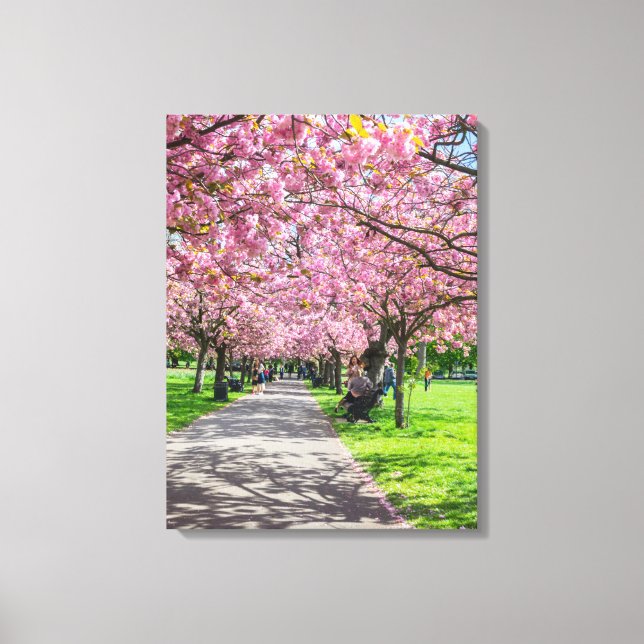 Impression de toile vue cerise en fleur (Recto)