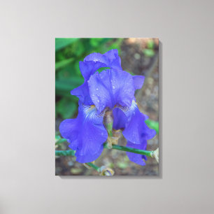 Impression de toile vue fleur iris bleu