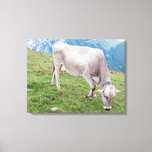 Impression de toile vue vache de pâturage (Recto)