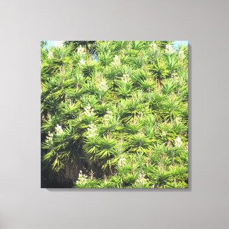Impression de toile - Yucca Plantes (2 panneaux)