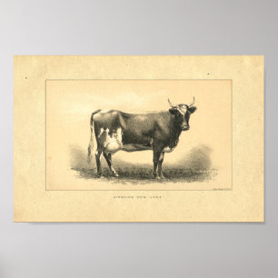 Impression de vache vintage 1888