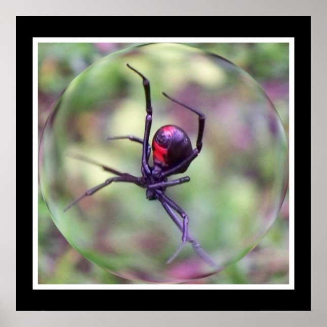 Impression de veuve noire (Devant)